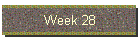 Week 28