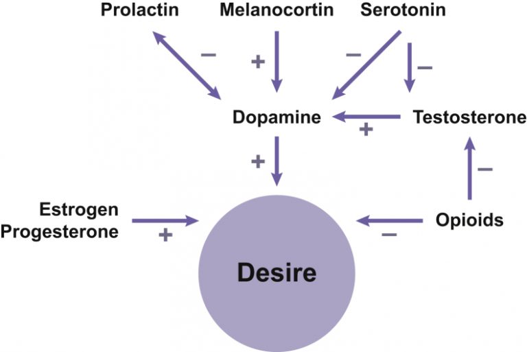 female-orgasm-system-introduction-health-lessons
